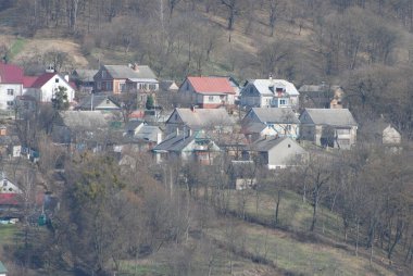 Bekarlık eski ormanda başlar.