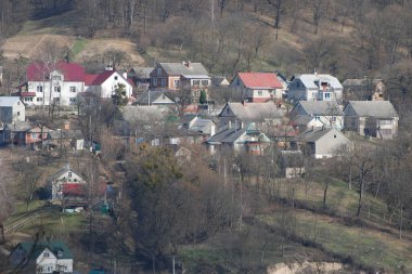 Bekarlık eski ormanda başlar.