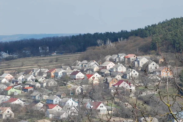 Bekarlık Eski Ormanda Başlar — Stok fotoğraf