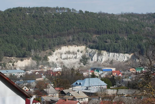 Зимовий День Хвойних Лісах — стокове фото