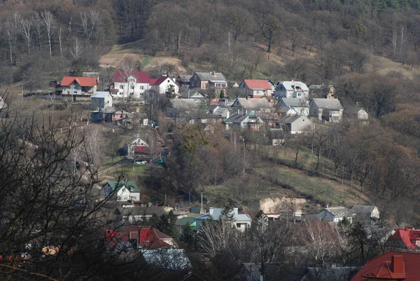 Single Startet Alten Wald — Stockfoto