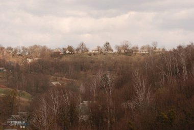Bekarlık eski ormanda başlar.