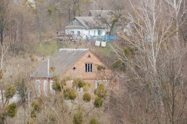 Bekarlık eski ormanda başlar.