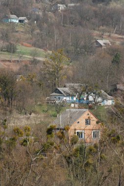 Bekarlık eski ormanda başlar.