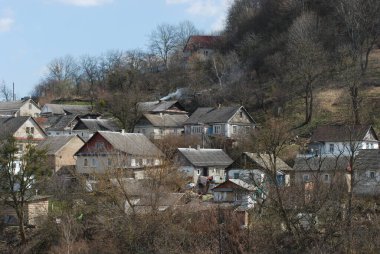 Bekarlık eski ormanda başlar.