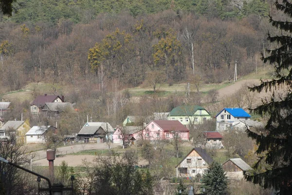 Bekarlık Eski Ormanda Başlar — Stok fotoğraf