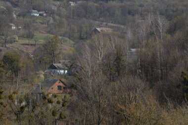 Bekarlık eski ormanda başlar.