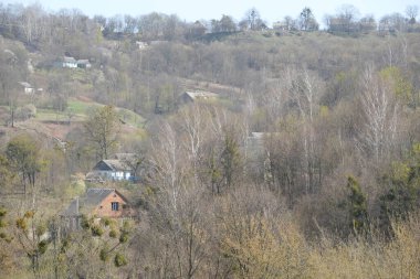 Bekarlık eski ormanda başlar.