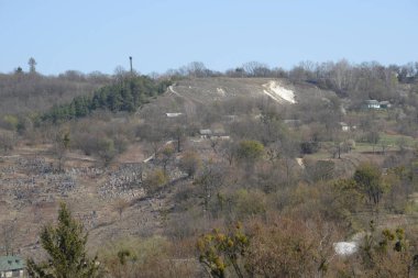 Bekarlık eski ormanda başlar.