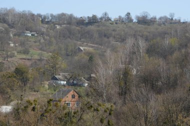 Bekarlık eski ormanda başlar.