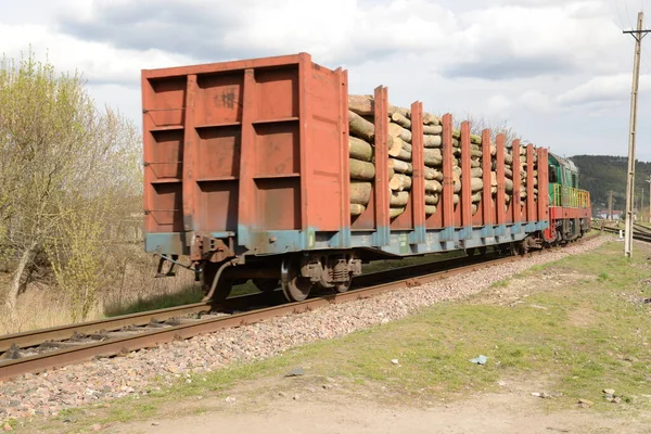 Ramo Ferroviário Visão Geral — Fotografia de Stock