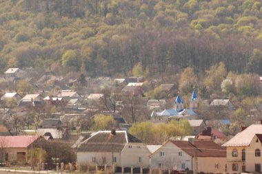Bekarlık eski ormanda başlar.