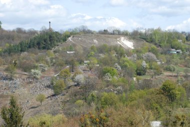 Bekarlık eski ormanda başlar.