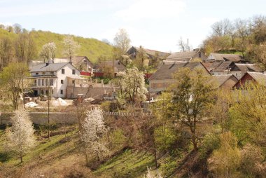 Bekarlık eski ormanda başlar.