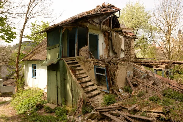 Bekarlık Eski Ormanda Başlar — Stok fotoğraf