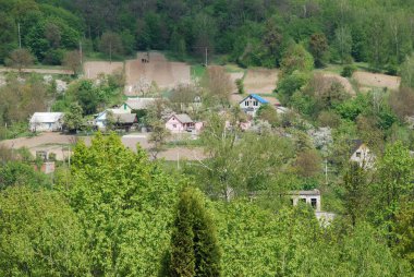  Bekarlık eski ormanda başlar.