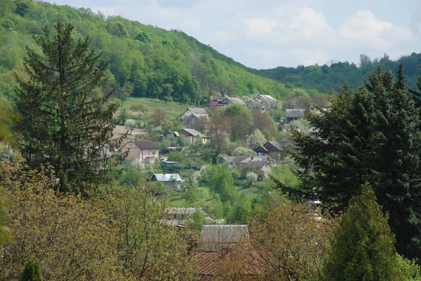 Départ Simple Dans Vieille Forêt — Photo