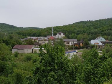  Bekarlık eski ormanda başlar.