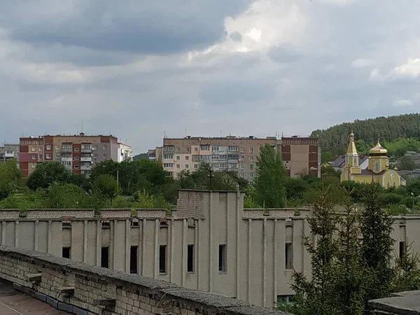 Bekarlık Eski Ormanda Başlar — Stok fotoğraf