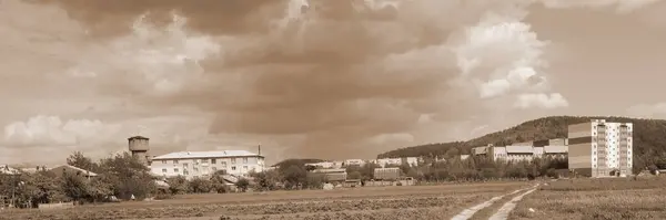 Samotný Začátek Starém Lese — Stock fotografie