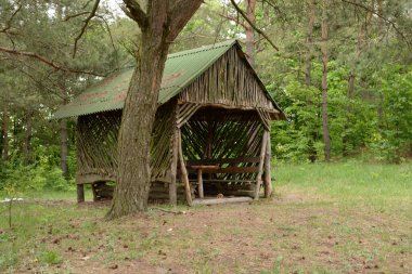 Orman açıklığında bir çardak.