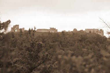   Castle Hill 'in genel manzarası