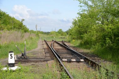 Demiryolu şubesi, genel görüş