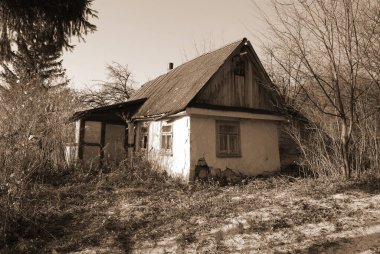  Bekarlık eski ormanda başlar.