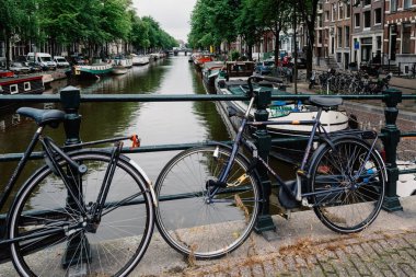 amsterdam'ın