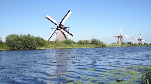 Windmühlen in den Niederlanden — Stockvideo