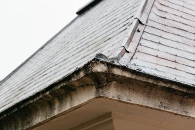 Eski bina korniş detay