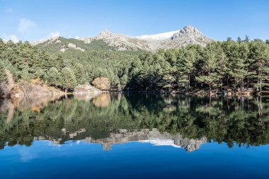 Sakin göl ağaçlarda yansıması