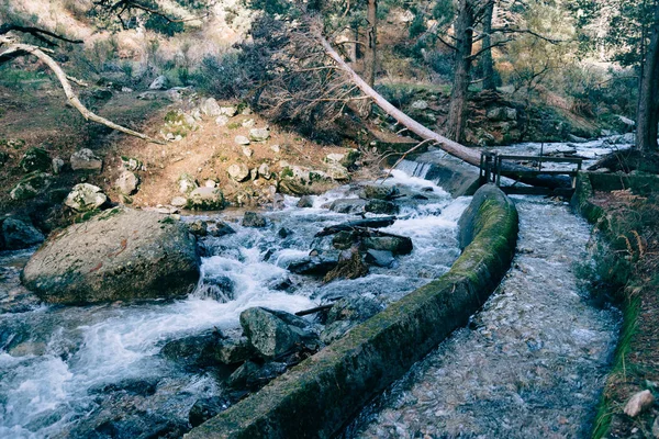 Río de montaña cruzando un bosque . —  Fotos de Stock