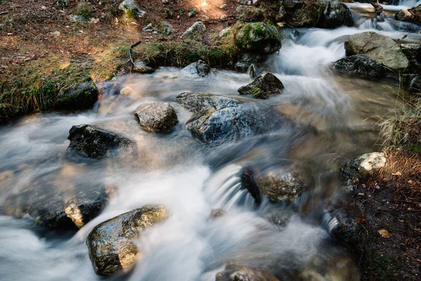 Río de montaña cruzando un bosque . —  Fotos de Stock