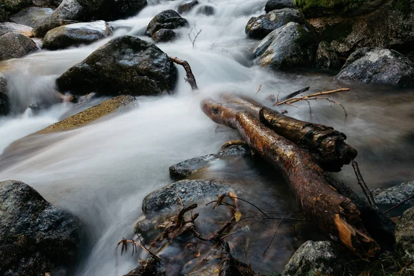 Río de montaña cruzando un bosque . —  Fotos de Stock