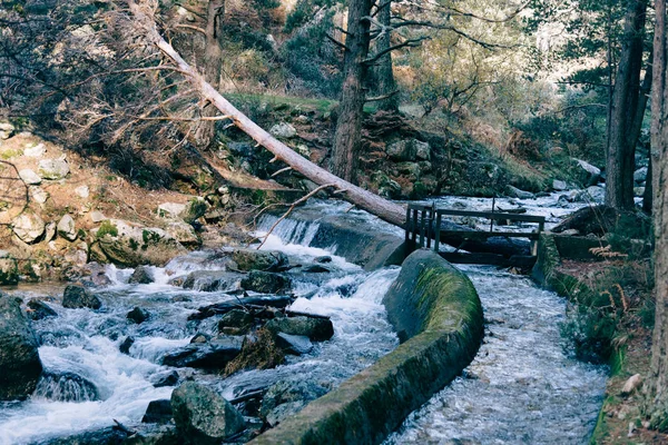 Río de montaña cruzando un bosque . —  Fotos de Stock