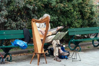 Gitar ve harp Bruges sokakta oynarken müzisyen