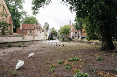 Bruges ortaçağ şehir kanalda Cityscape