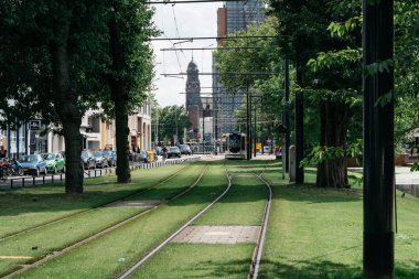  Rotterdam bir parkta tramvay izler. 