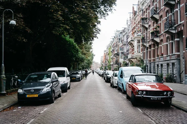 Amsterdam'ın kimliği belirsiz bisikletçi. — Stok fotoğraf