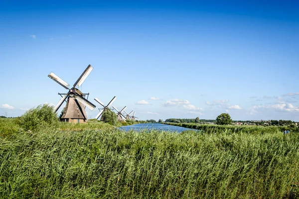 Bellissimo paesaggio mulino a vento olandese a Kinderdijk nei Paesi Bassi — Foto Stock