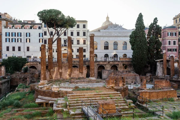 Largo di Torre Arjantin Meydanı
