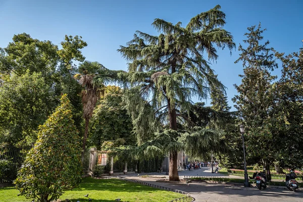 Królewski Ogród botaniczny w Madrycie — Zdjęcie stockowe