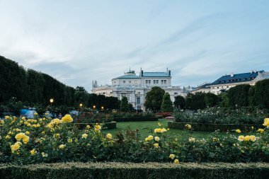 Gün batımında, Burgtheater görüntülemek Volksgarten Viyana dan
