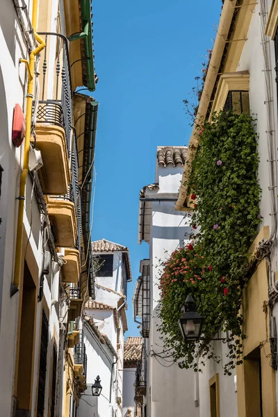 Strada nel centro storico di Cordova — Foto Stock