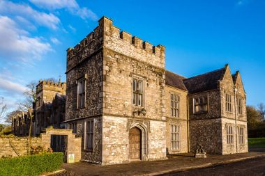 Mallow kale ve gündoğumu bahçeler