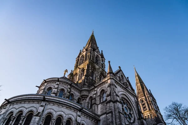 Cathedral of Saint Fin Barre i Cork — Stockfoto