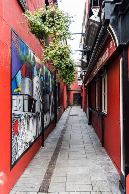 Oliver Plunkett sokak Cork