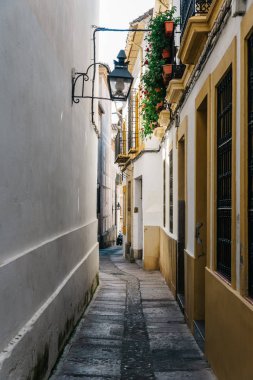 Cordoba Yahudilik eski tipik sokak