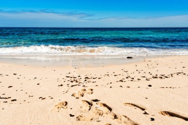 güzel bir plaj, deniz ve mavi gökyüzü